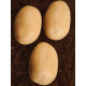 Картофель Саванна (2 репродукция), фракция 35-55 1 кг