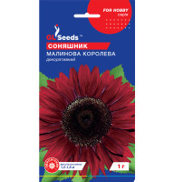 Насіння Соняшник Малинова королева GL Seeds 1 г