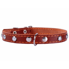 Ошейник CoLLar одинарный с украшениями 00046