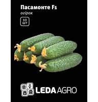 Насіння Огірок Пасамонте F1 самозапильний 10 шт LedaAgro