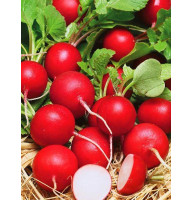 Редиска Сора 250 г