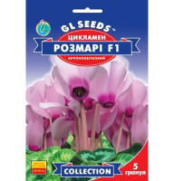 Насіння Цикламен Розмарі F1 5 насінин GL Seeds