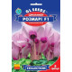 Семена Цикламен Розмари F1 5 семян GL Seeds