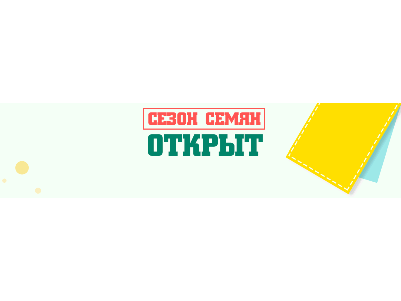 Сезон насіння відкрито! Прийшов час готуватися до посадки квітів і овочів на розсаду