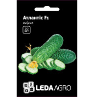 Насіння Огірок Атлантіс F1 20 нас Leda Agro