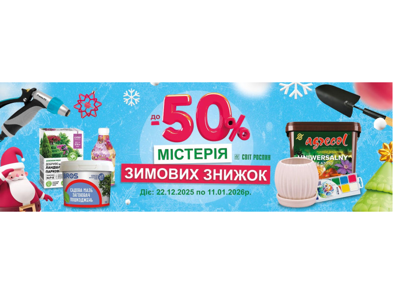Містерія зимових знижок