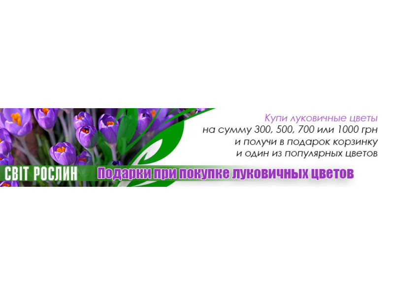 Подарунки при покупці цибулин квітів.