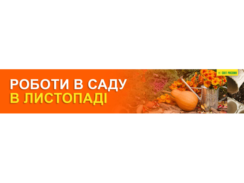Работы в саду в ноябре