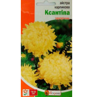 Насіння айстри Ксантіпа карликова жовта 0,3 г