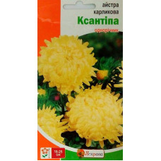 Семена астры Ксантипа карликовая желтая 0,3 г