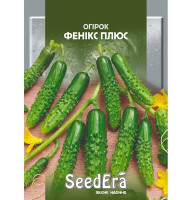 Насіння Огірка Фенікс Плюс 20 г