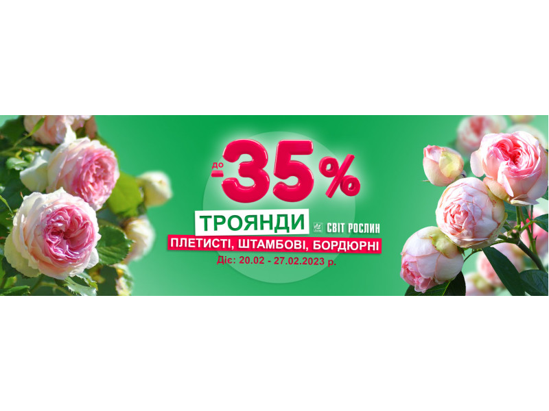  Акція! До -35 % на бордюрні, плетисті та штамбові троянди