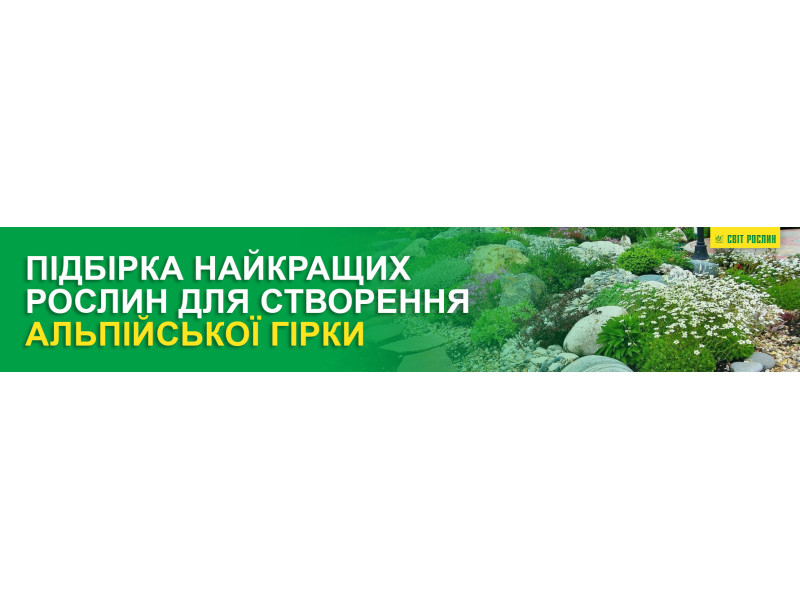 Подборка лучших растений для создания альпийской горки