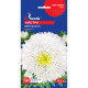 Насіння Айстра Перлина GL Seeds 0,3 г