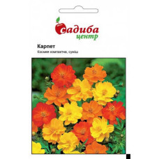 Насіння Космея Карпет СЦ 0,2 г