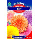 Насіння Жоржина Дует помпонна GL Seeds 0,25 г