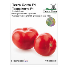 Насіння Томат Терра Котта F1 10 нас Beste Kern