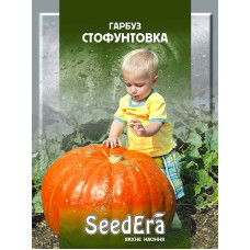 Насіння Гарбуз Стофунтовка 3 г Seedera
