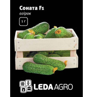 Насіння Огірок  Соната F1 засолочний 1г  LedaAgro
