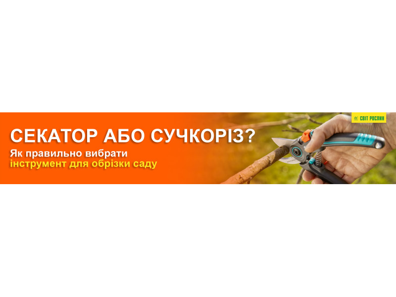 Секатор или сучкорез? Как правильно выбрать инструмент для обрезки сада