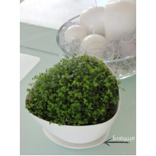 Блюдце Trojkat 2 в ассортим.