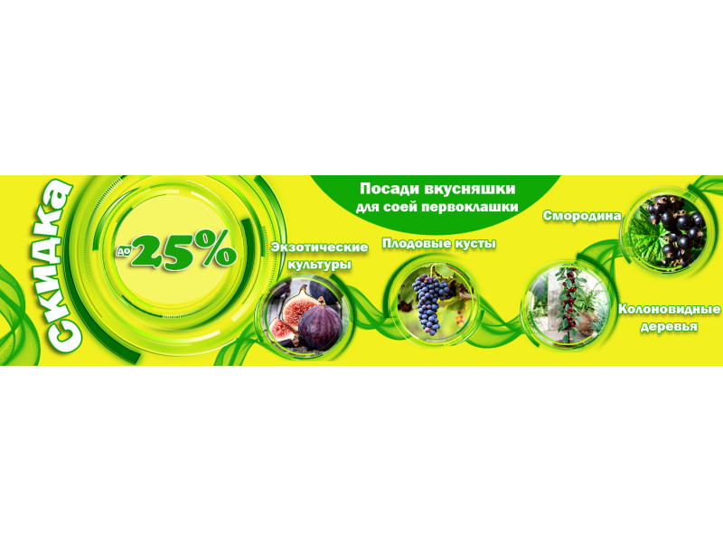 Акція! До -25% знижки на плодово-ягідні саджанці. Купи смаколики для свого янголика