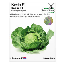 Насіння Капуста Кевін F1 20 нас Beste Kern