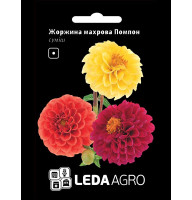 Насіння Жоржина Помпон махрова суміш 0,2 г LedaAgro
