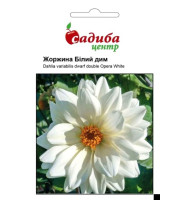 Насіння Жоржина Білий Дим 0,1г