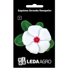 Барвинок Хетвейв Пепперминт белый 10 шт LedaAgro