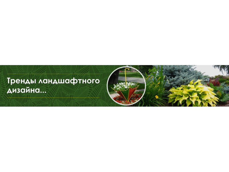 Тренди ландшафтного дизайну 2019