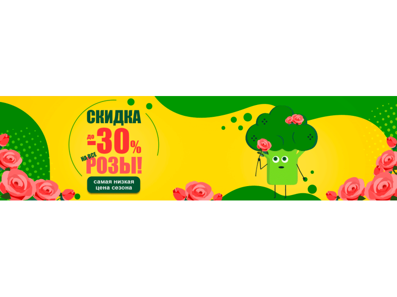 Всі саджанці троянд зі знижкою до -30%