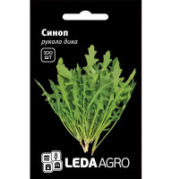 Насіння Рукола Синоп дика 100 насінин LedaAgro