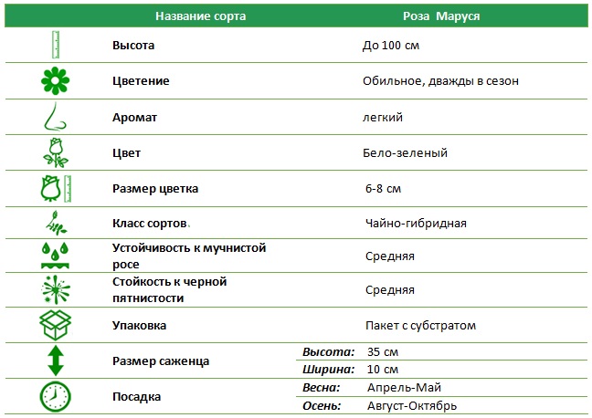 Маруся.jpg
