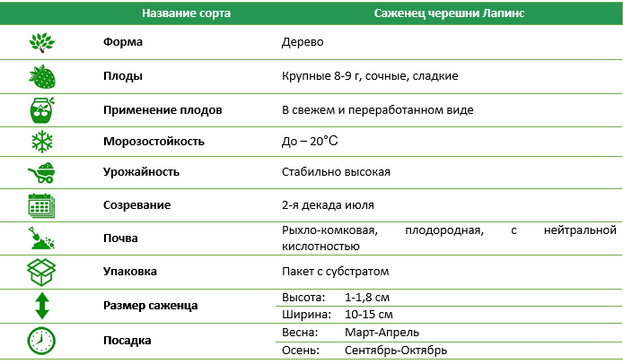 Черешня Лапинс