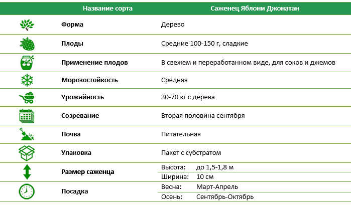 Яблоня Джонатан