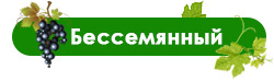 Новий асортимент винограду! — Саженцы урожайных сортов можно заказать уже сейчас!