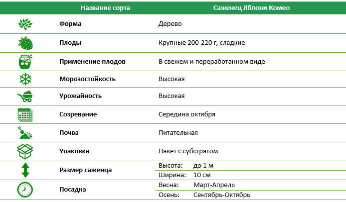 Яблуня Комео