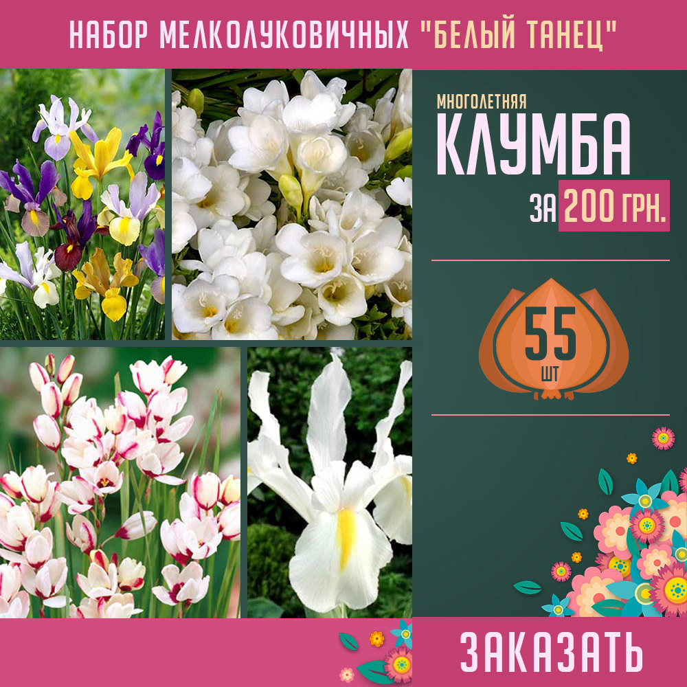 луковицы цветов купить украина