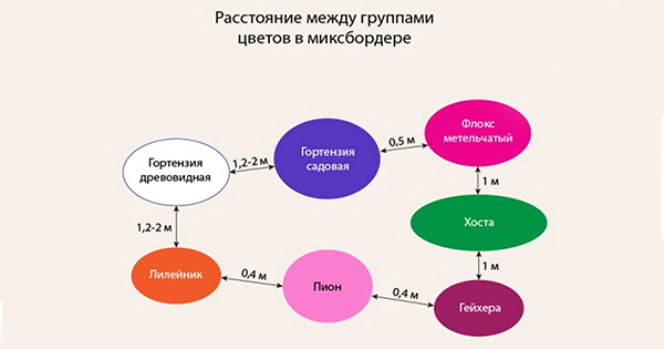  Схема оформлення дачної ділянки 