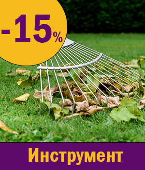 Инструмент купить
