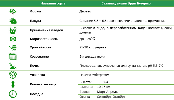 Вишня Эрди Ботермо