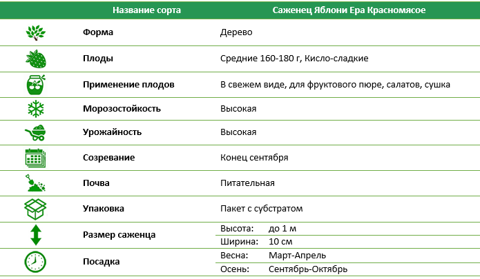 Яблуня Ера Червоном'ясе