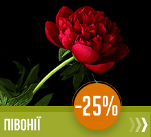 Півонія