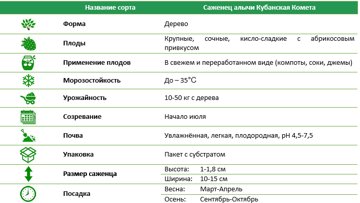 Саженец алычи Кубанская комета