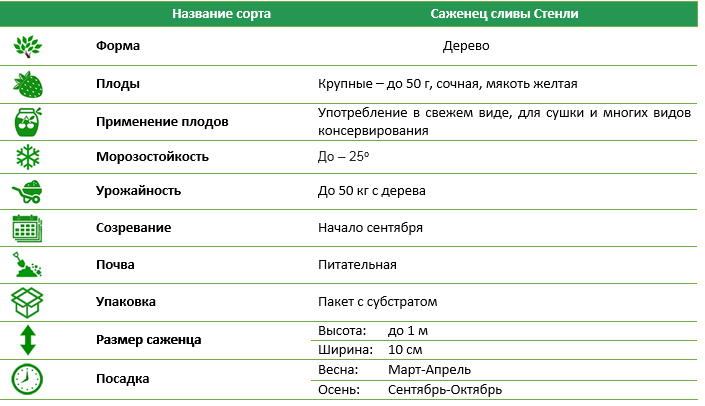 Слива Стенли 7,5 л