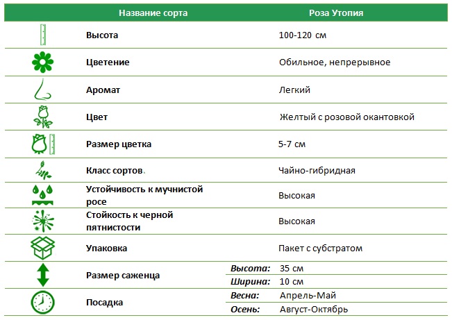 Утопия.jpg