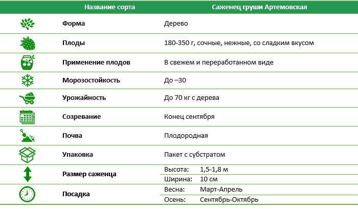 Груша Артемовская