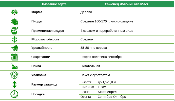 Яблоня Гала Маст
