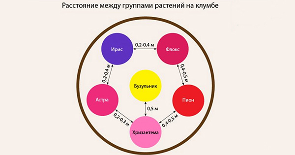  Схема оформлення дачної ділянки 